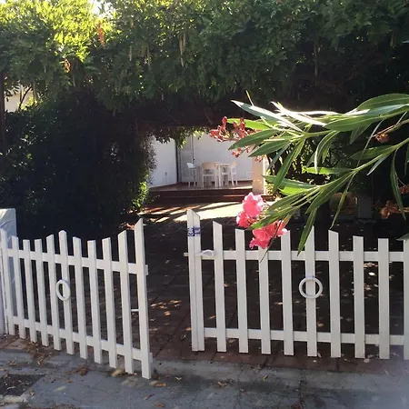 Le Palme * 로사 마리나