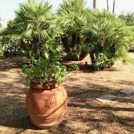 Le Palme 펜션 로사 마리나