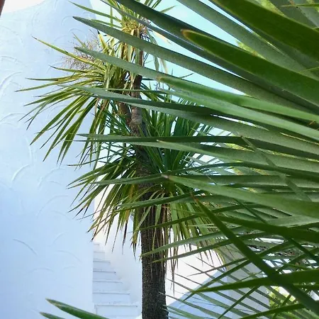 Semesterbostad Le Palme *