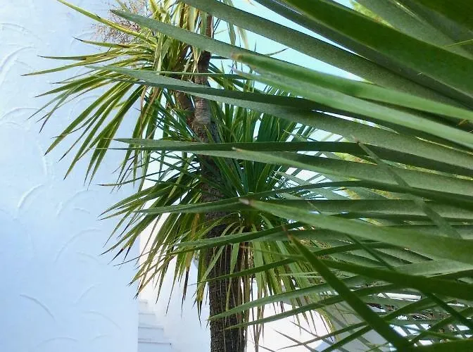 Tatil Evi Le Palme *